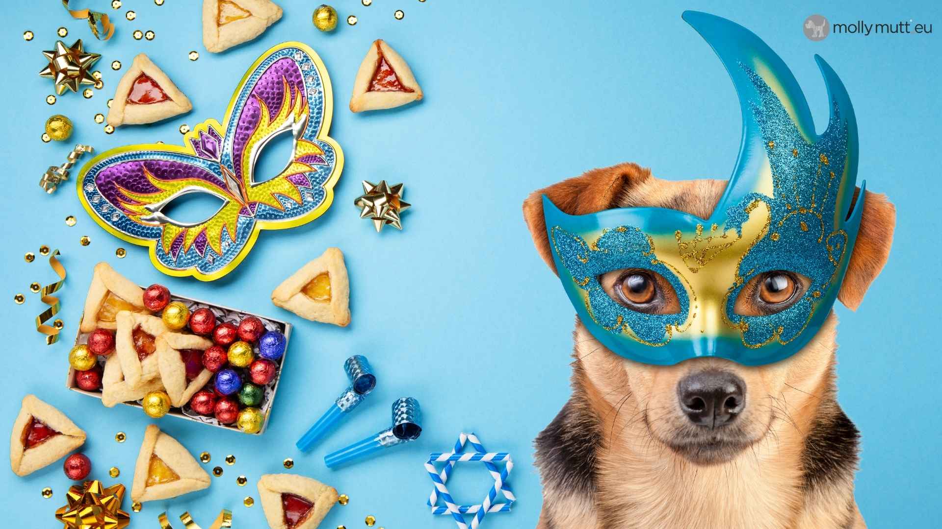 dressing-up-your-dog-for-carnival.jpg