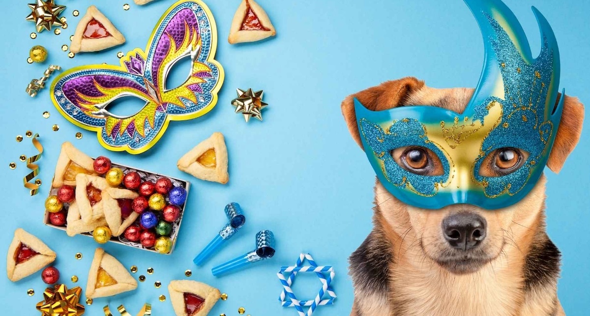 deberías vestir a tu perro con un disfraz