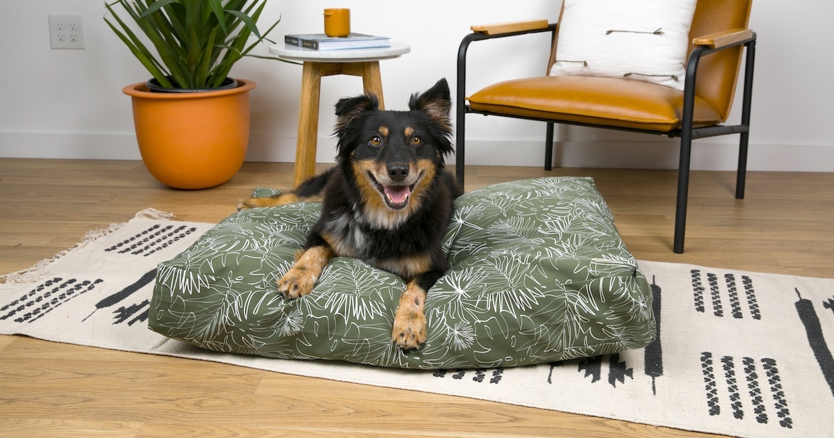 happy-dog-behaviour-signs